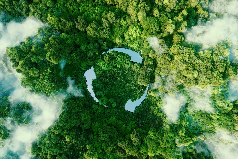 Greener Future in 7 Steps