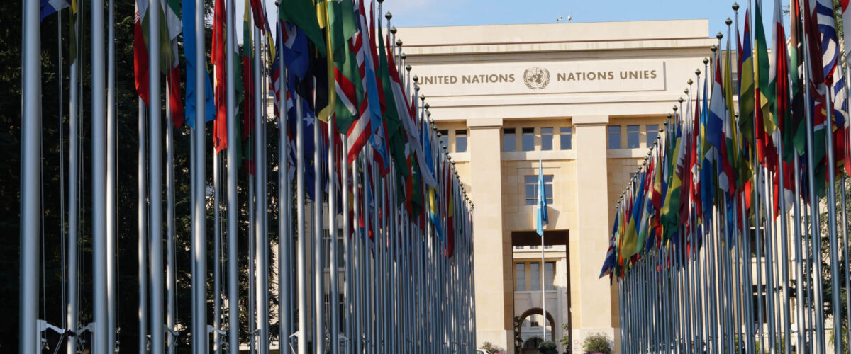 The United Nations Organisation